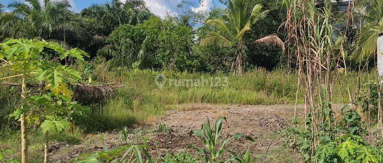 Tanah Dijual Di Jalan G. Obos 20 Palangka Raya Kalimantan Tengah 1