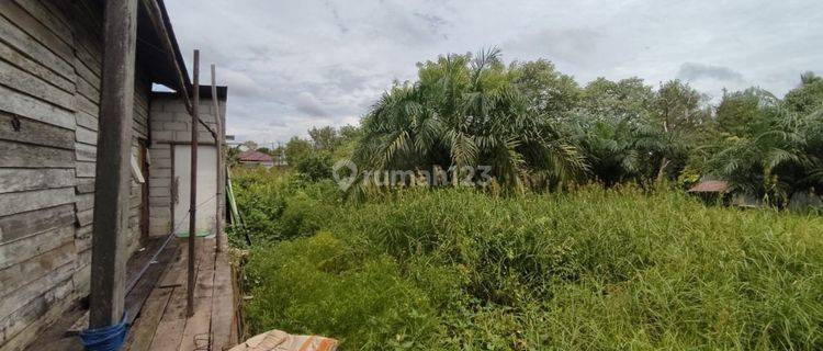 Tanah Dijual Di Jalan Pendohop Langkai Palangka Raya Kalimantan Tengah 1