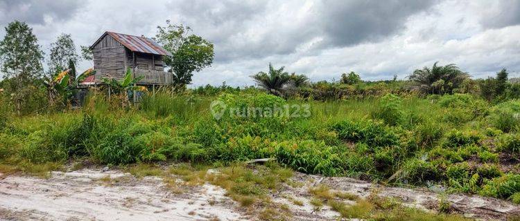 Tanah Dijual Jalan Mahir Mahar Simpang G.obos Palangka Raya 1