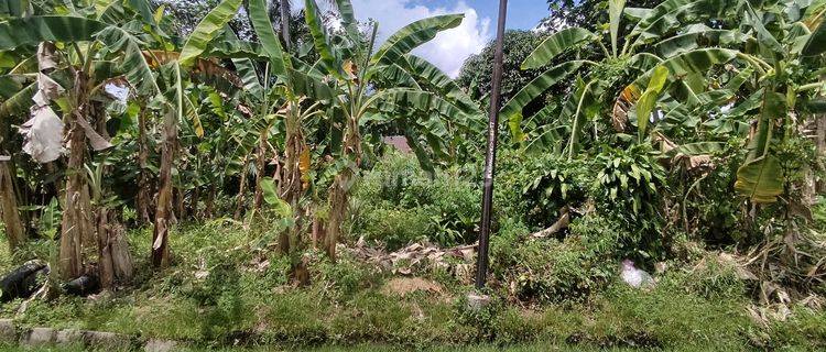 Tanah Dijual Di Jalan Temanggung Tilung Palangka Raya Kalimantan Tengah 1