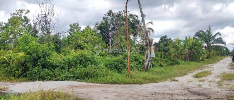 Tanah Dijual Di Jalan Tampung Penyang Palangka Raya 1