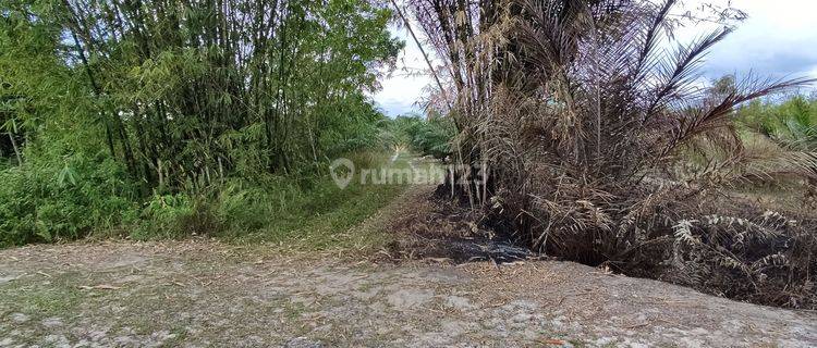 Tanah Dijual di Jalan tjilik Riwut Kalimantan Tengah 1