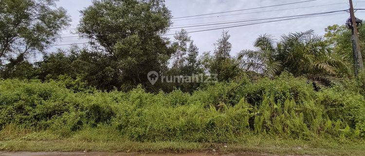 Tanah Dijual Di Jalan Manduhara Kereng Bengkirai Palangka Raya 1