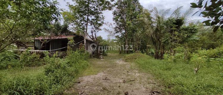 Tanah Dijual Jalan Mahir Mahar Dekat Mesjid Kubah Hijau Palangka Raya Kalimantan Tengah 1