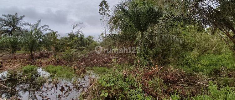 Tanah Dijual Jalan Simpei Keruhei Palangka Raya Kalimantan Tengah 1