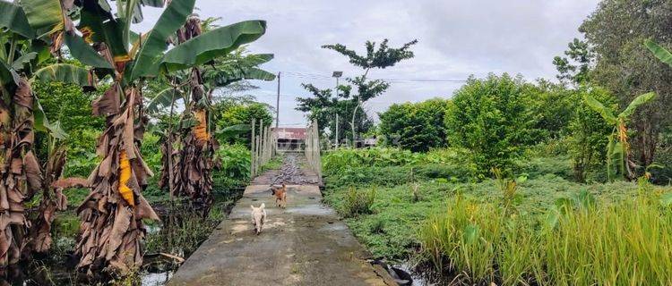 Tanah Dijual di Jalan Lintas Mahir Mahar Palangka Raya Kalimantan Tengah 1