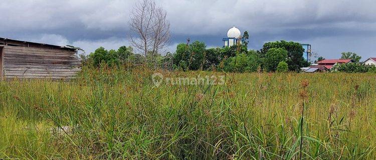 Tanah Dijual Jalan Bandar Estate Kecipir Palangka Raya 1