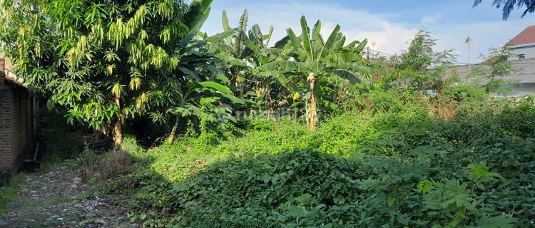 Tanah Kubang Laban Multifungsi Dekat Kampus 1