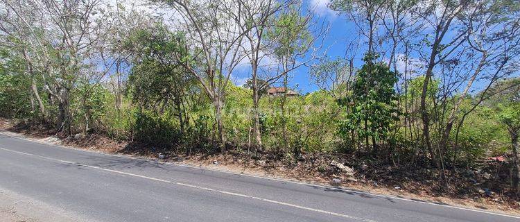 For Rent Land In Labuan Sait Pecatu  1