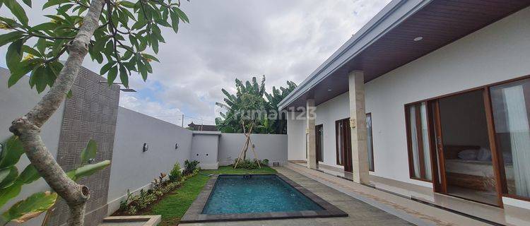 For Rent Brand New Villa In Canggu 1