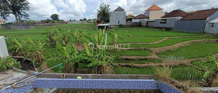 Land For Rent With Ricefield View And Unfinished Building In Buduk Until 2038.  1