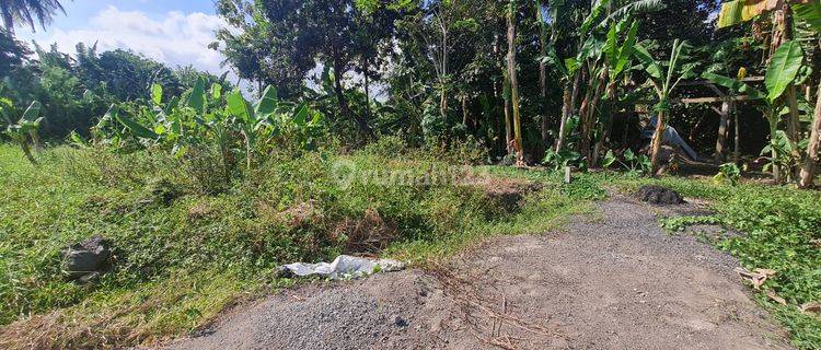 Dijual Tanah Kavling Bagus Area Kedungu Tabanan 1