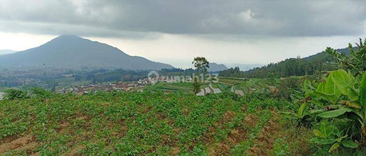 Tanah di Jogonayan, Ngablak, Magelang SHM 491 m² View Gunung Jalan Lebar 1