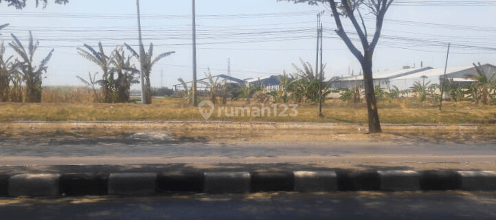 Dijual Tanah 2ha Shm di Jalan Raya Semarang Demak  1