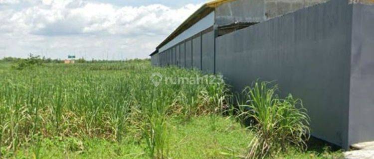 Dijual 2557 m2 Tanah Kavling Gedeg Mojokerto JATIM - Lokasi dekat Pabrik 1