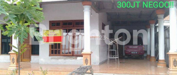 RUMAH CANTIK DAN ASRI DI TEMUWULAN PERAK JOMBANG 1
