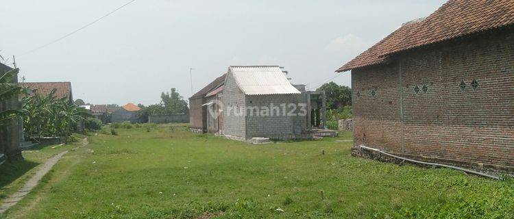 TANAH PEKARANGAN SIAP BANGUN DI SUKOREJO PERAK JOMBANG 1