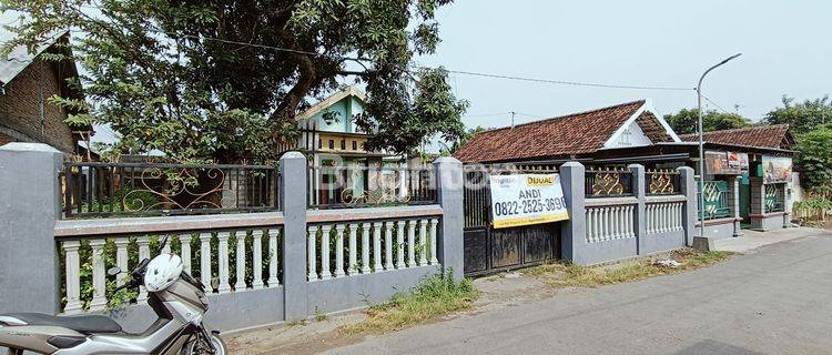 Rumah Asri Dengan Tanah Luas Di Perak Jombang 1