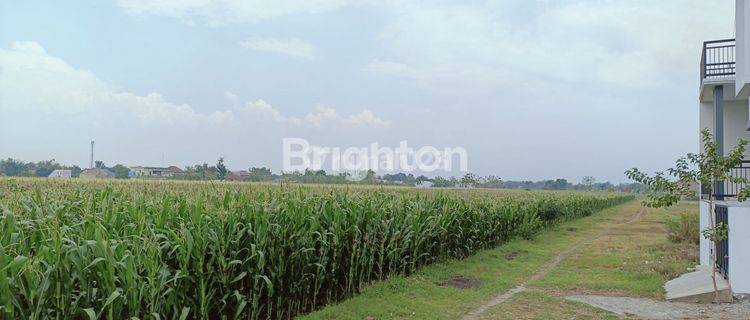 SAWAH LUAS SIAP PAKAI DI KAWASAN PADAT PENDUDUK JOMBANG 1