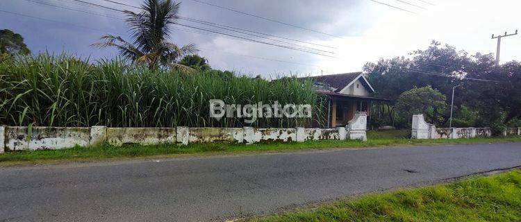 TANAH PEKARANGAN SIAP BANGUN DAN ADA RUMAH DI KEDIRI 1