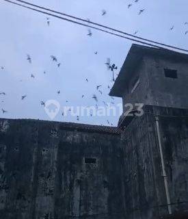 Butuh Cepat Terjual , Rumah Walet Di Cinangka Anyer Banten 1