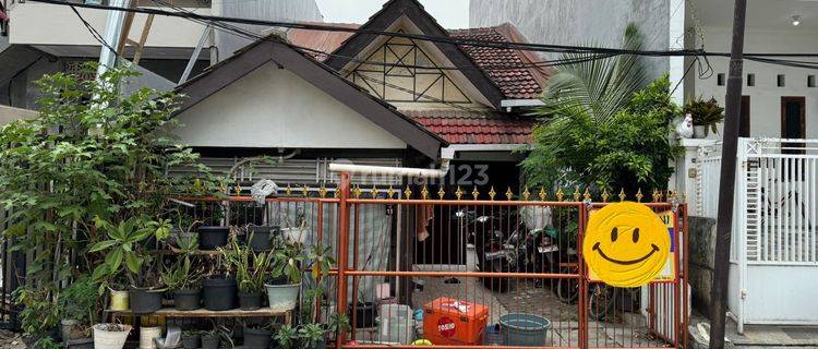 Rumah Tua Hitung Tanah Bebas Banjir Di Kelapa Gading  1