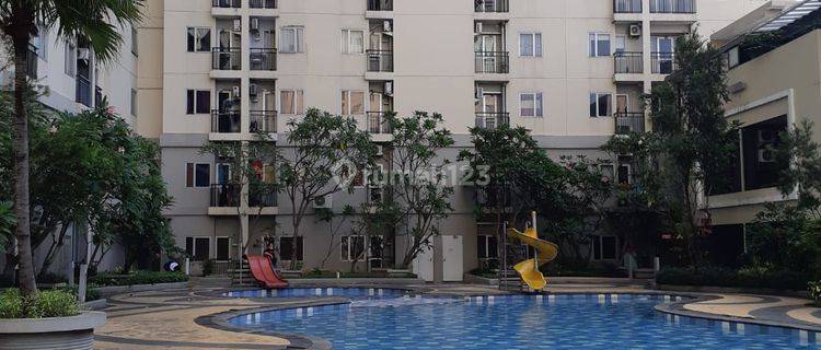 Apartemen Maple Park Studio  Di Kemayoran Jakarta Pusat  1