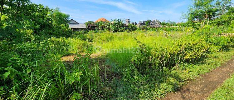 Di Jual Tanah Cantik Di Jl Bali Harum Kutuh Bali 1