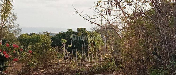 Land for Sale with Sea View in Pandawa Bali 1