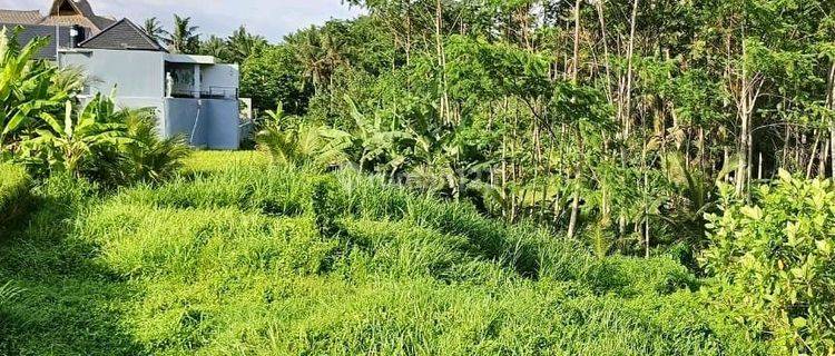 Di Jual Tanah Cantik Di Jl Ry, Silungan Ubud , Ubud (ng-1 1