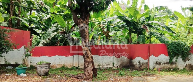 Land in Sisingamangaraja, Semarang Tt Me 6228 1