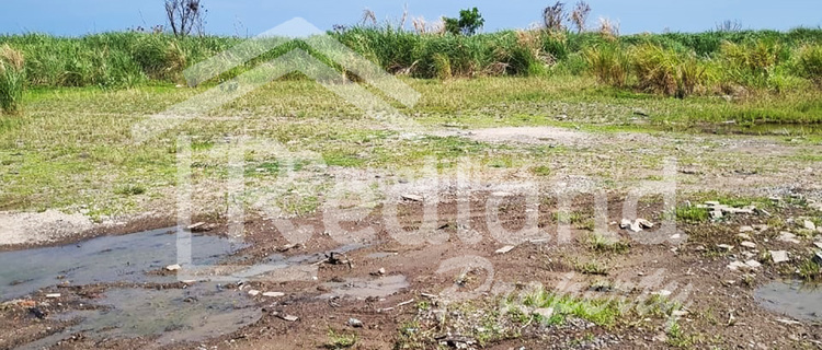 Land in the Cipta Guna Area, Semarang (Tt 7867S) 1