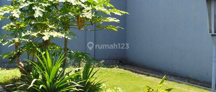 Jual Rumah Lama Terawat 1 Lantai 1