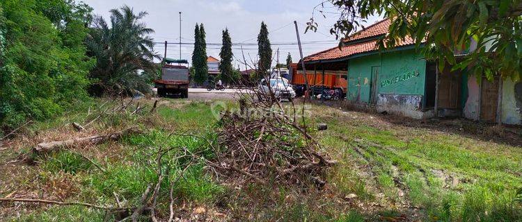 Kavling Tanah di Jl Indramayu Losarang Jawa Barat  1