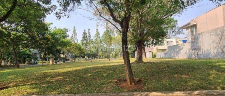 Dijual Kavling di De Park Cajuputi, BSD 1