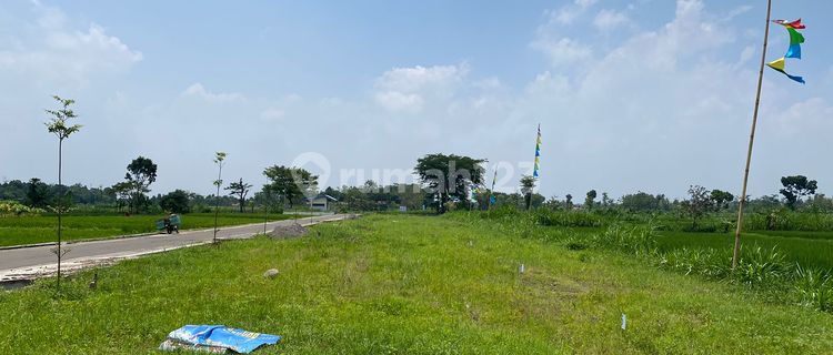 Banting Harga Tanah Kavling Jual Murah Cuma 1.6jt/m2 Luas 85m2 di Klaten Samping Exit Tol Prambanan 1