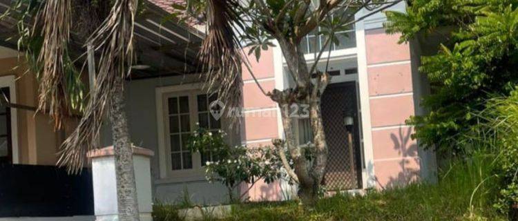 Rumah Kontrakan Di Perum Citra Garden Shm Bagus Barat Laut 1