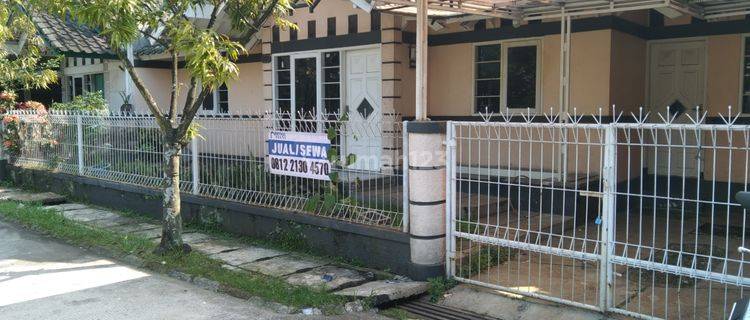 Rumah sewa murah 1