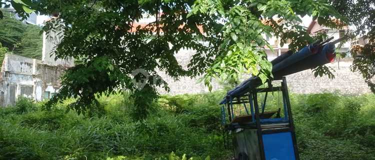 Special land for sale at Mt Haryono (12544-INE) 1