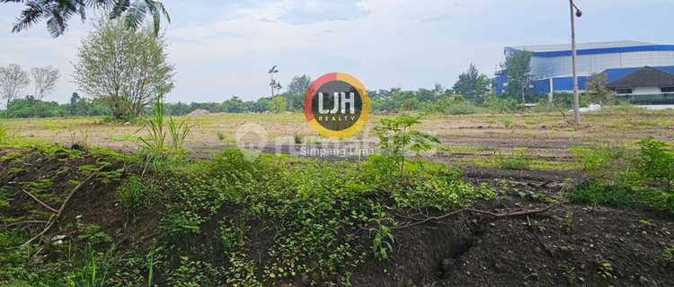 Tanah Sewa 1,5 Ha di Marina - Tawangsari, Semarang 1