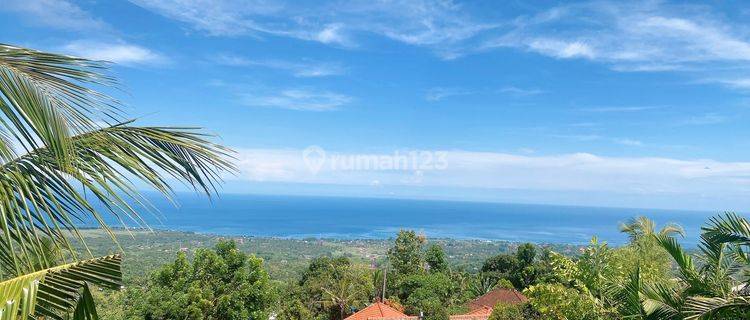 For Sale Land In Jembrana Bali 1