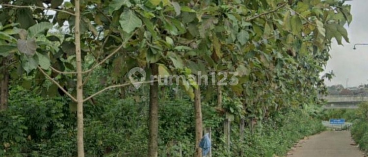 Dijual Tanah Luas di Ngaliyan Harga Jauh di Bawah NJOP 1