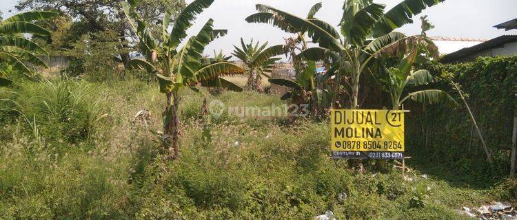 Dijual cepat tanah lokasi Pantura-SHM 1