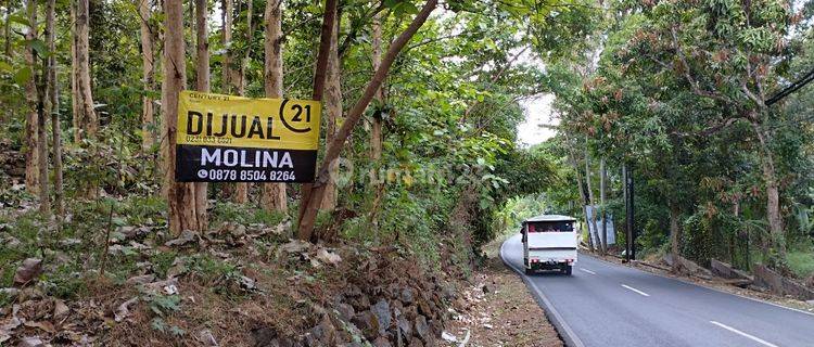 Tanah Kebun Jati Di Mandirancan Kuningan 1