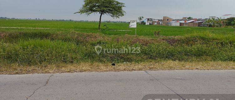 Lahan Kosong Lokasi  Strategis Di Karang Wareng 1