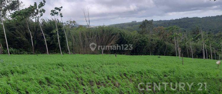 Tanah Kosong  Lokasi Strategis Di Sukabumi 1