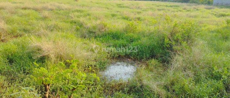 Dijual Lahan Strategis dekat Tol Kanci 1