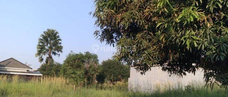Tanah Kavling Di Komplek Grage Manoa Kuningan  1