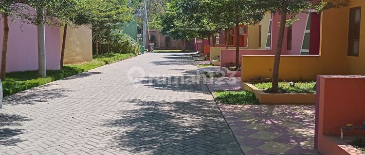 Rumah Baru SHM di Jalan raya wajak, nol jalan raya 1