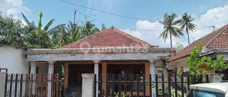 Jual Tanah Bonus Bangunan Lokasi Kepanjen Dekat Jalibar 1